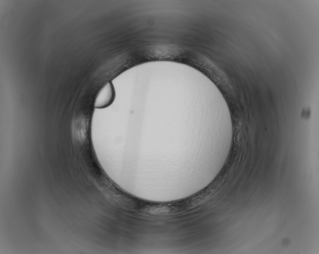 X0000094360075200711301435