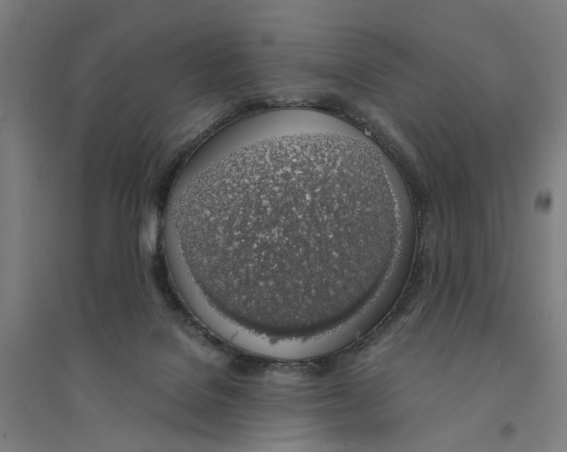 X0000094360076200711301435