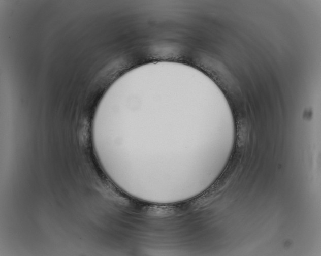 X0000094360077200711301435