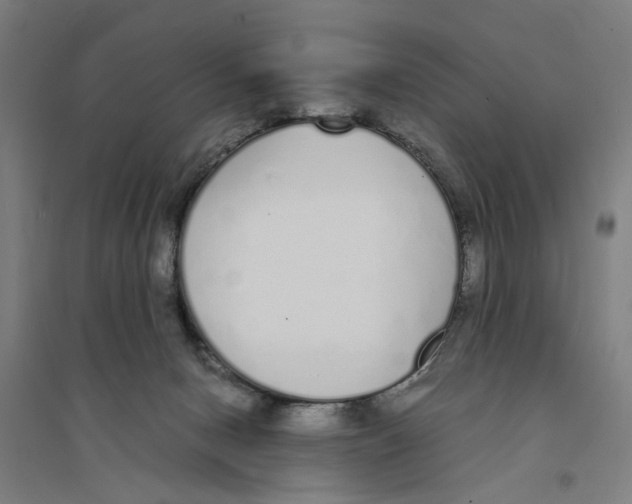 X0000094360078200711301435