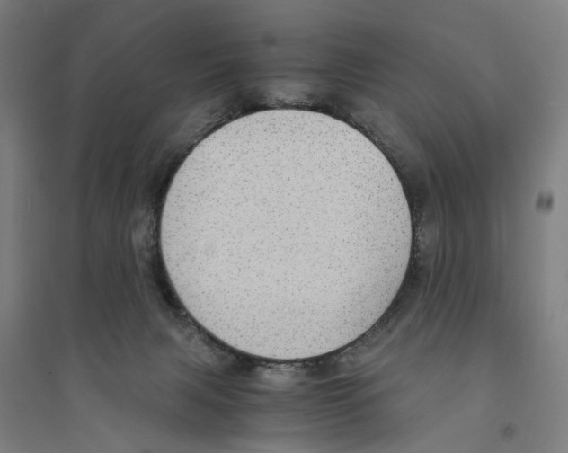 X0000094360079200711301435