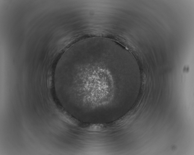 X0000094360080200711301435