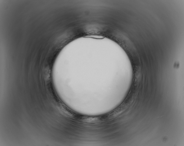 X0000094360081200711301435