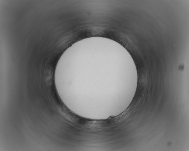 X0000094360082200711301435