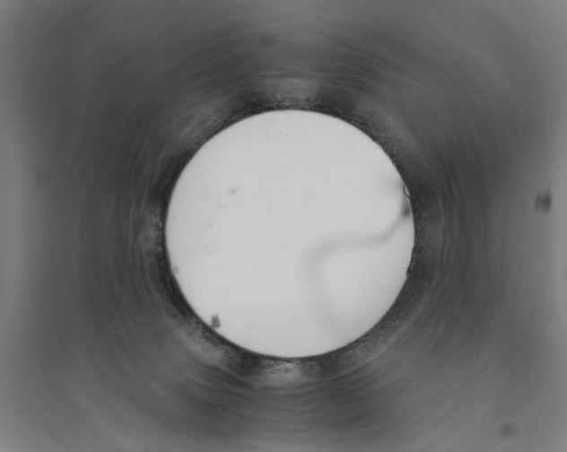 X0000094360083200711301435