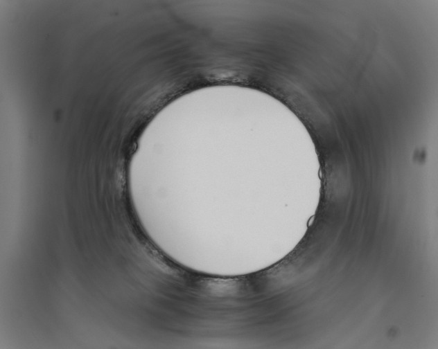 X0000094360085200711301435