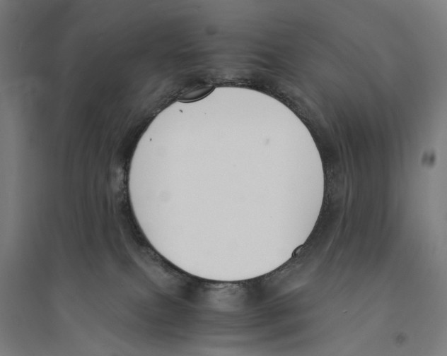 X0000094360087200711301435