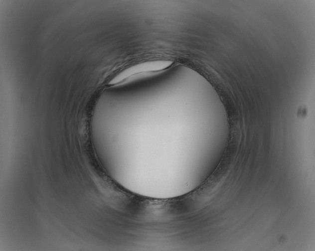 X0000094360088200711301435