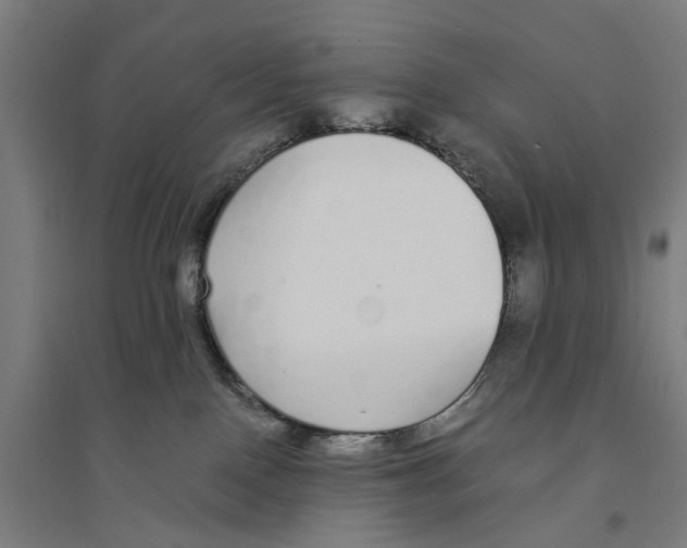X0000094360090200711301435