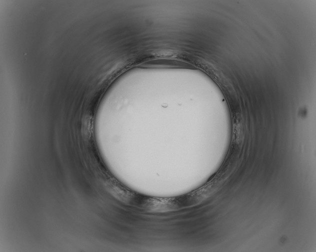 X0000094360093200711301435
