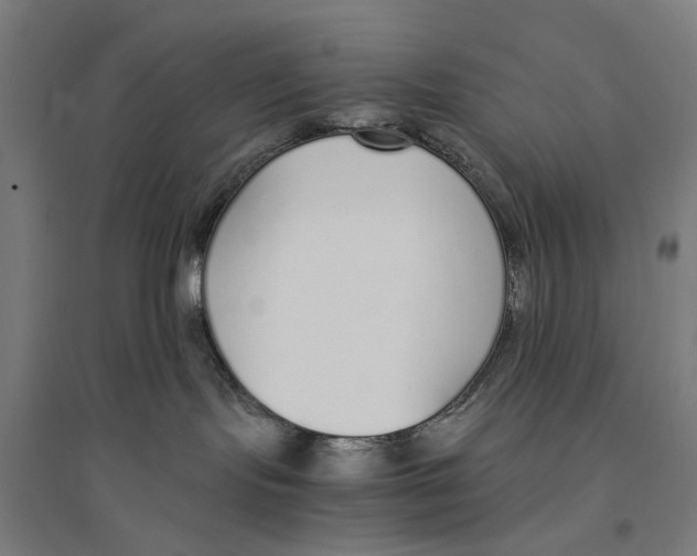 X0000094360095200711301435