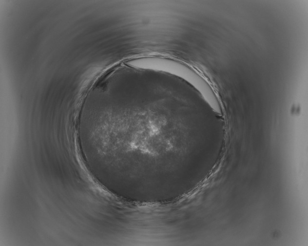 X0000094360097200711301434