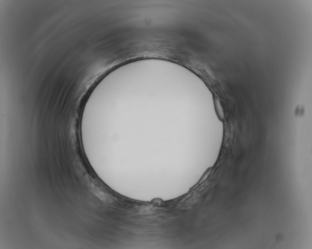 X0000094360098200711301434