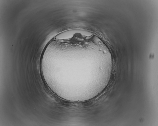 X0000094360099200711301434