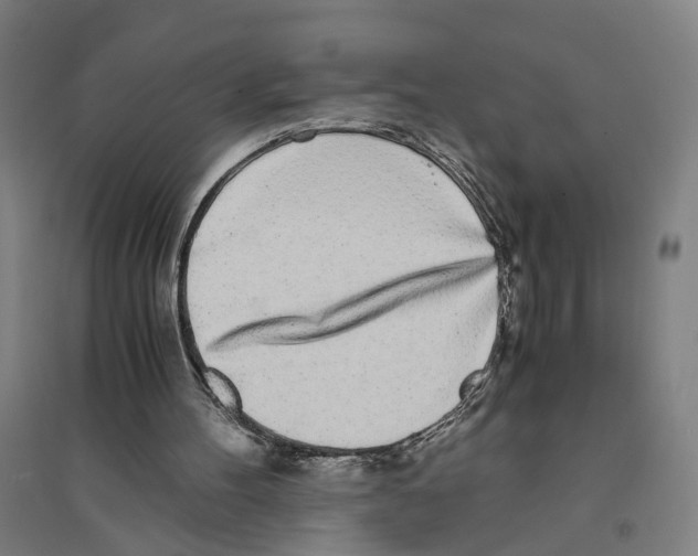 X0000094360100200711301434