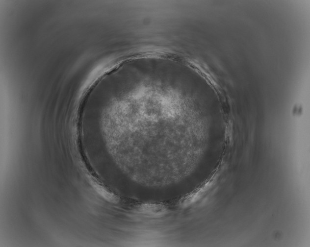 X0000094360101200711301434