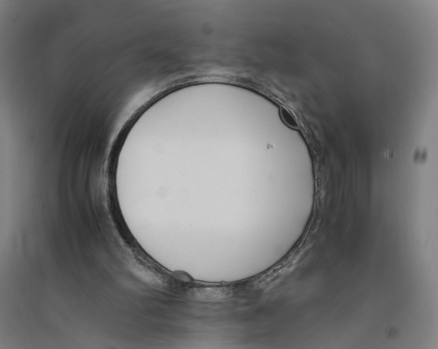 X0000094360102200711301434