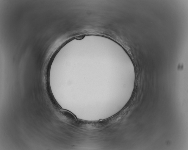 X0000094360103200711301434