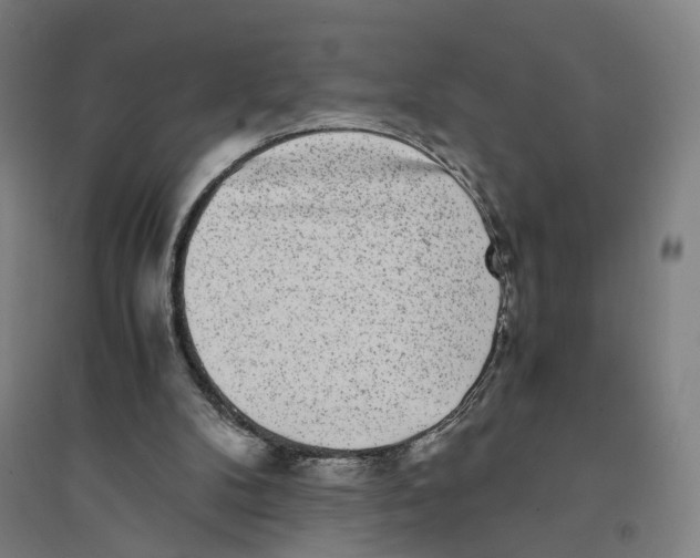 X0000094360104200711301434