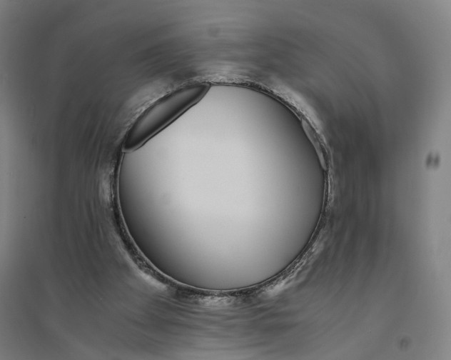 X0000094360105200711301434