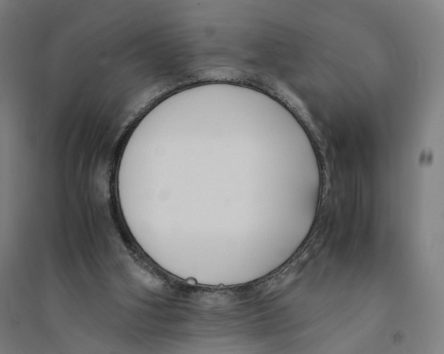 X0000094360106200711301434