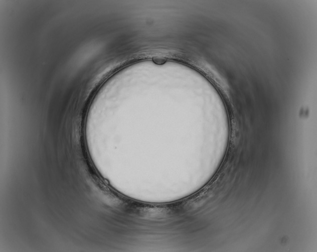 X0000094360107200711301434