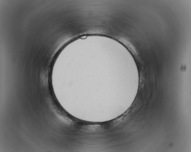 X0000094360108200711301434