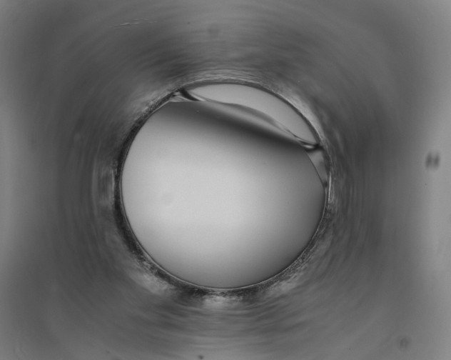 X0000094360109200711301434