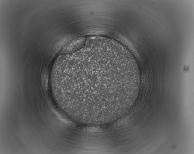 X0000094360110200711301434
