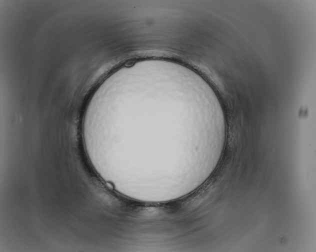 X0000094360111200711301434