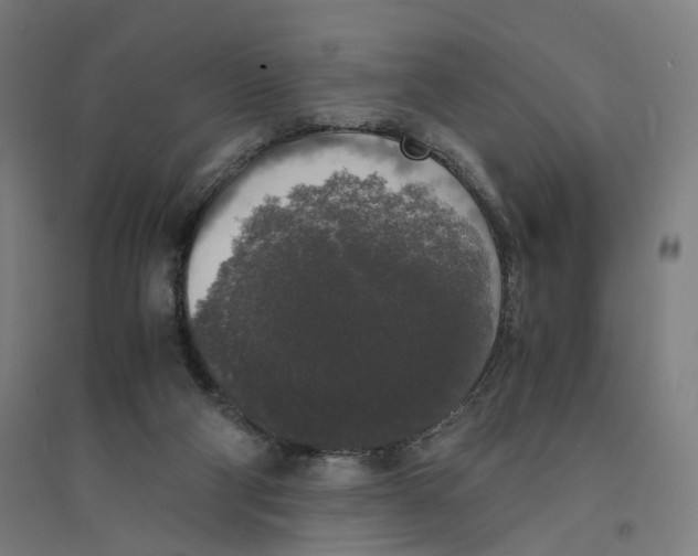 X0000094360114200711301434