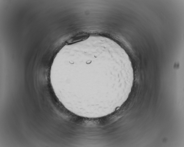 X0000094360115200711301434