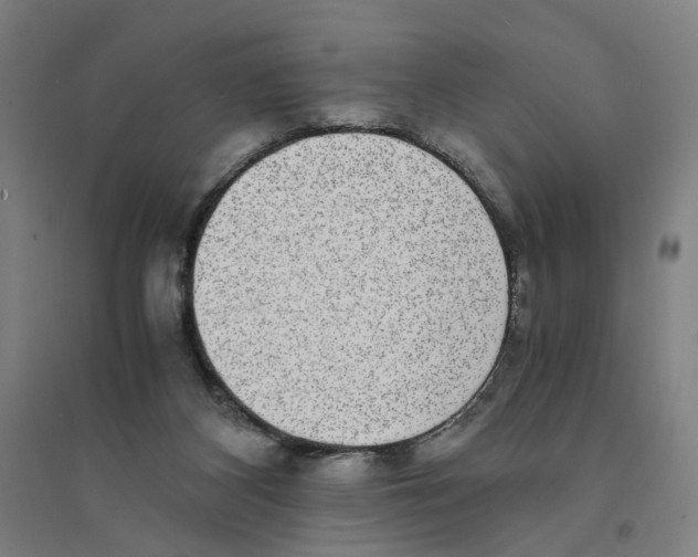 X0000094360116200711301434