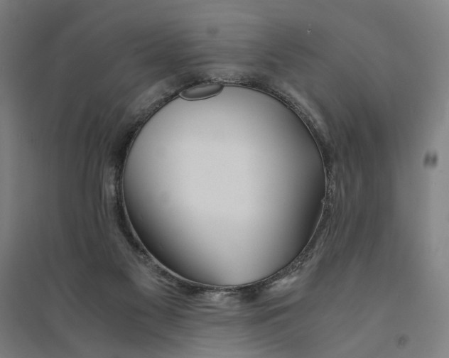 X0000094360117200711301434