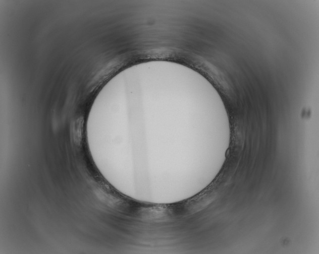 X0000094360118200711301434