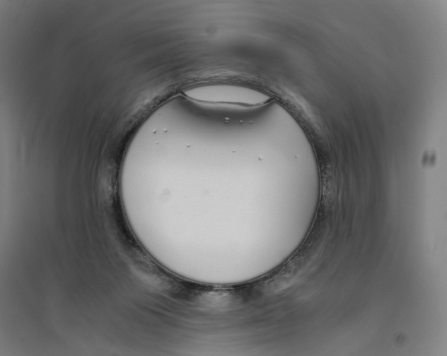 X0000094360119200711301434