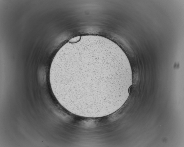 X0000094360120200711301434