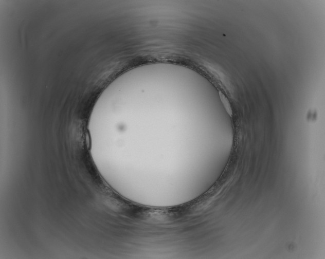 X0000094360121200711301434
