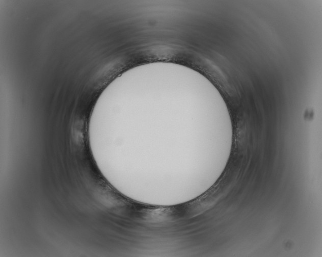 X0000094360122200711301434