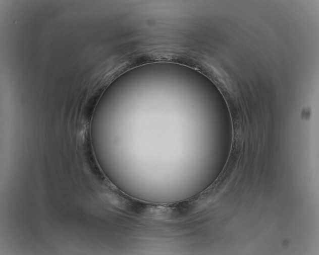 X0000094360125200711301434