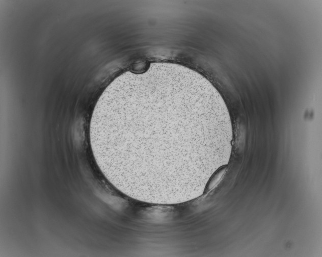 X0000094360128200711301434