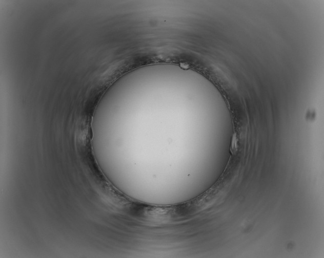X0000094360129200711301434