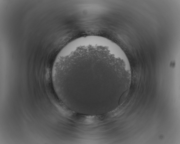 X0000094360130200711301434