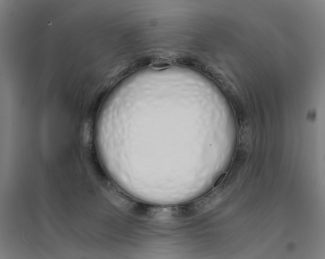 X0000094360131200711301434