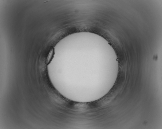 X0000094360133200711301434