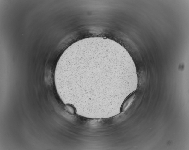 X0000094360136200711301434