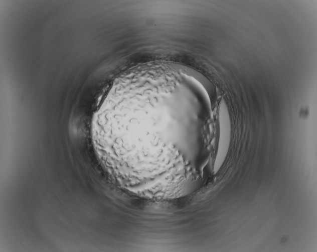 X0000094360137200711301434