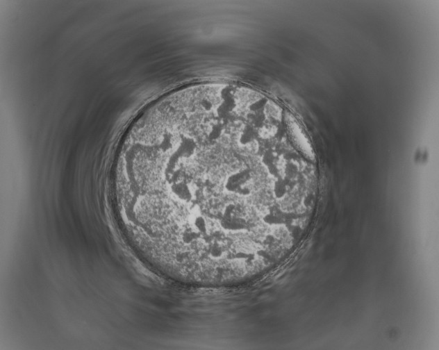 X0000094360145200711301433