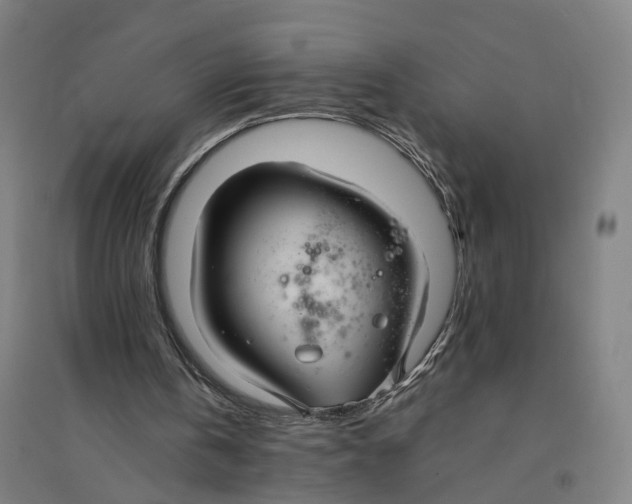 X0000094360146200711301433