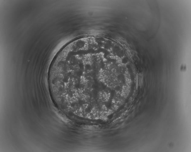 X0000094360147200711301433